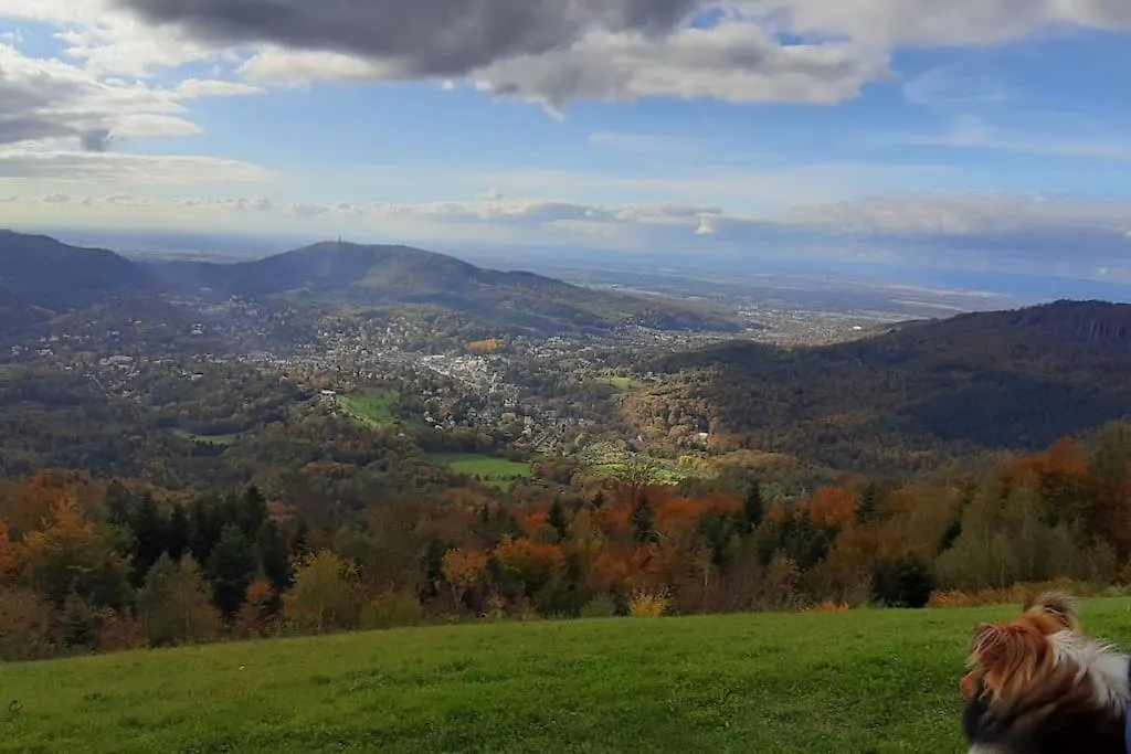 Ferienwohnung Baden Baden Rastatt Elsass Hugelsheim